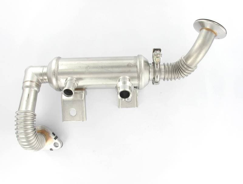 EGR422-1386345.jpg